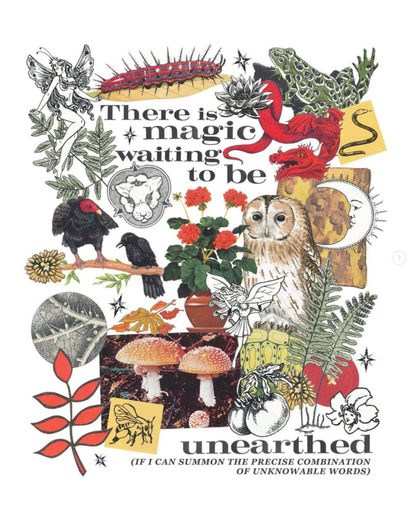 A collage of nature imagery like frogs, owls, mushrooms, and leaves, with the text "There is magic waiting to be unearthed (if I can summon the precise combination of unknowable words)"
